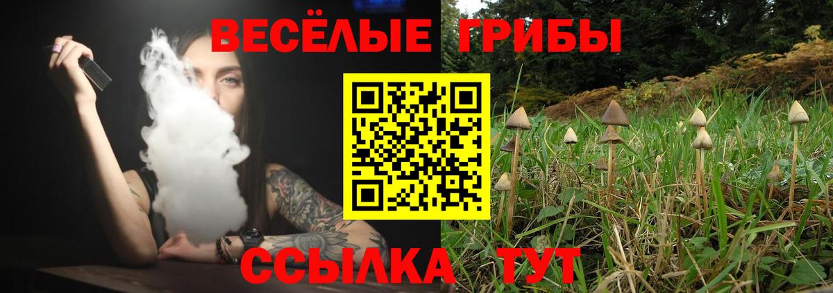 Дубна  Галлюциногенные грибы MAGIC MUSHROOMS  Вход с VPN 